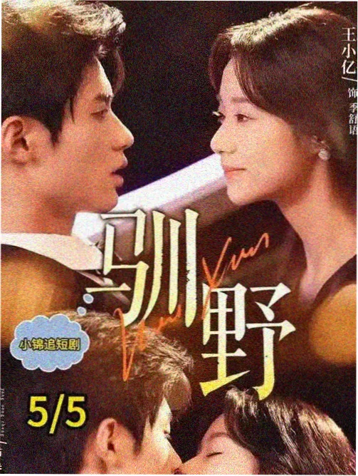 变形金刚idw漫画风刃赛博坦忍者秘录封面